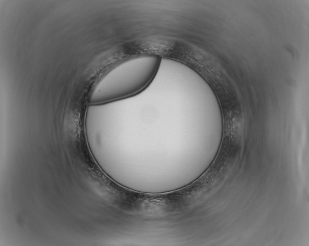 X0000115260599200911131748