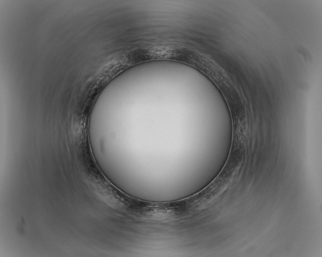 X0000115260601200911131748