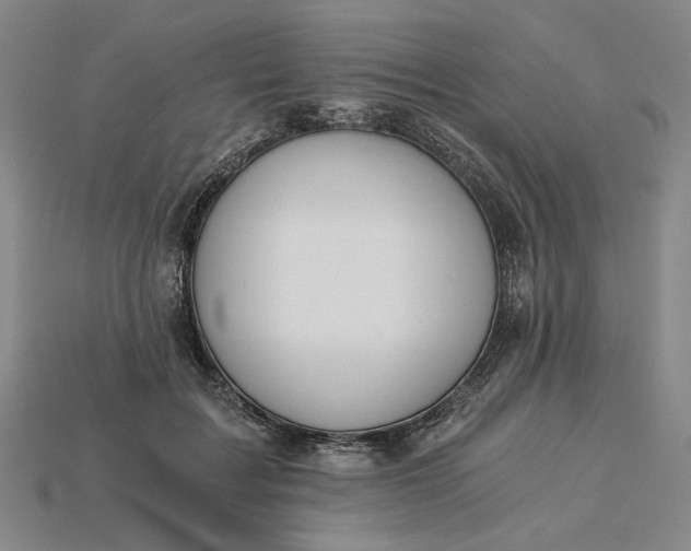 X0000115260603200911131748