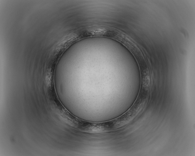 X0000115260604200911131748