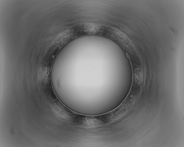X0000115260605200911131748