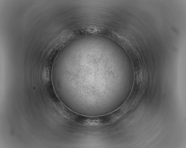 X0000115260606200911131748