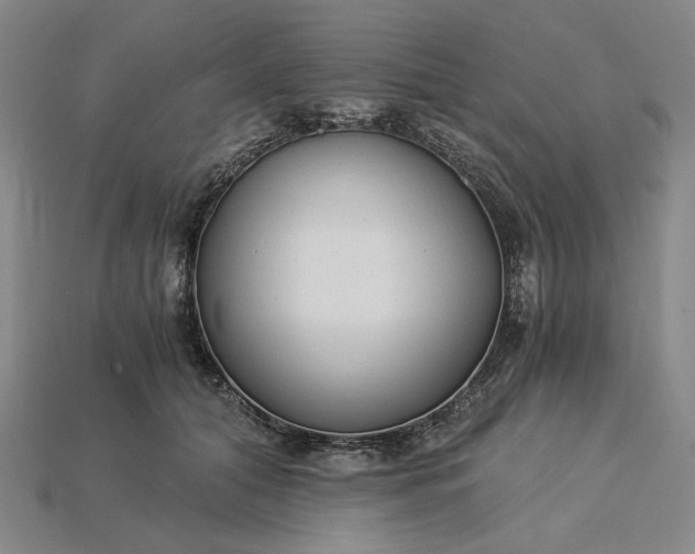 X0000115260608200911131748