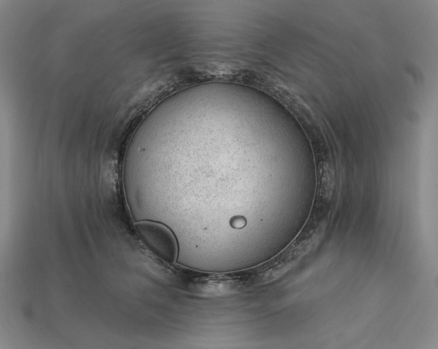 X0000115260612200911131748