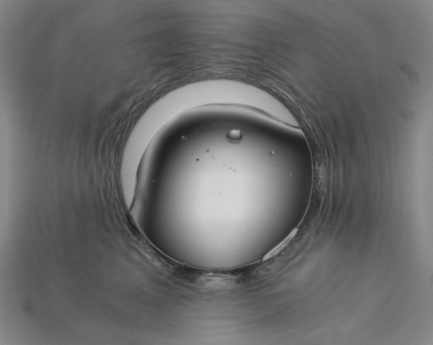 X0000115260617200911131748