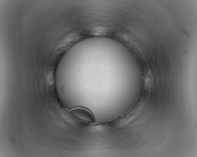 X0000115260620200911131748