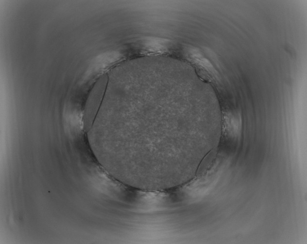 X0000115260621200911131748