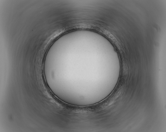X0000115260625200911131747