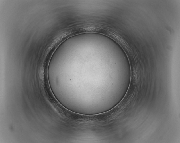 X0000115260626200911131747