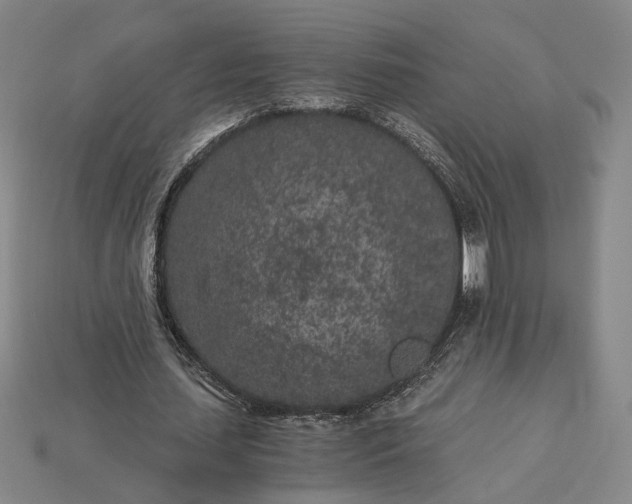 X0000115260627200911131747