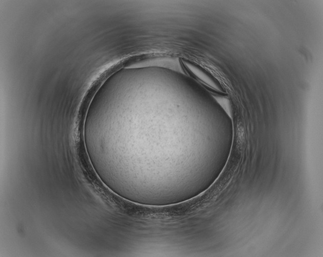 X0000115260628200911131747