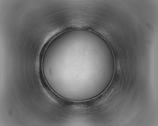 X0000115260630200911131747