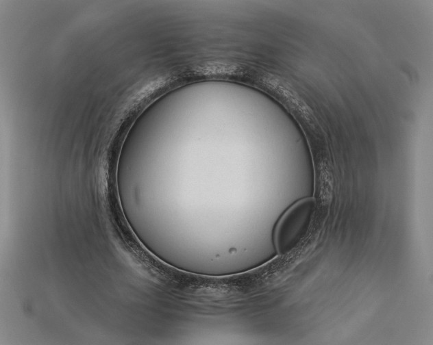 X0000115260631200911131747