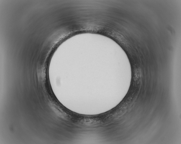X0000115260632200911131747