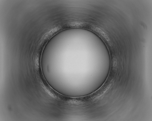 X0000115260633200911131747