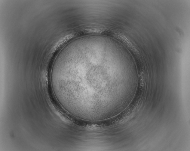 X0000115260634200911131747