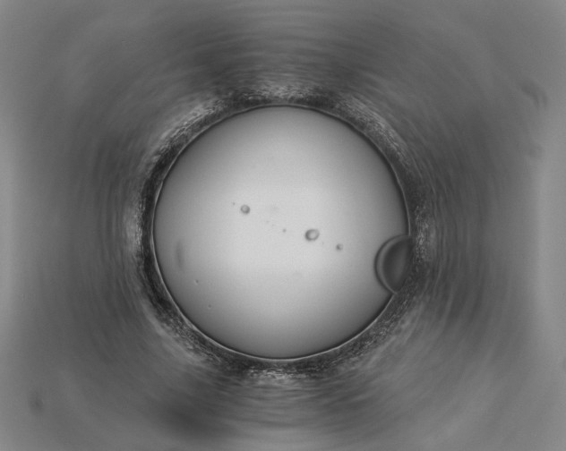 X0000115260635200911131747