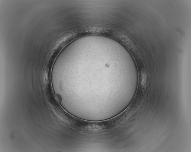 X0000115260636200911131747
