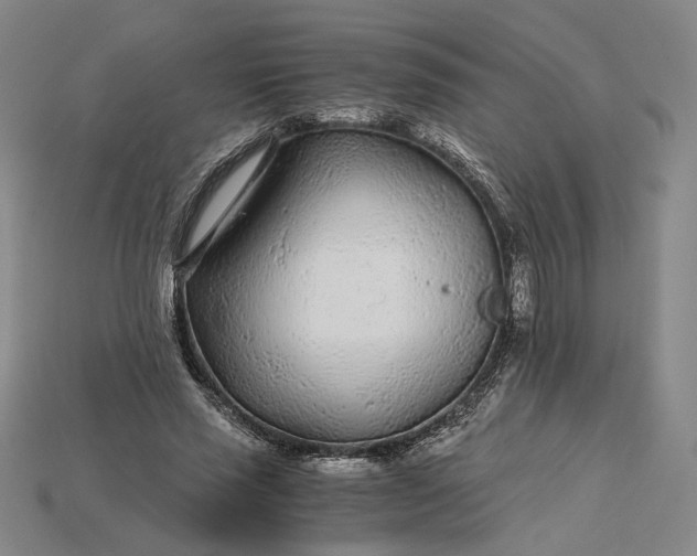 X0000115260637200911131747