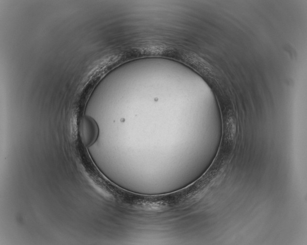 X0000115260638200911131747