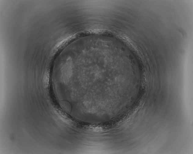 X0000115260640200911131747