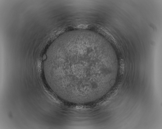 X0000115260641200911131747