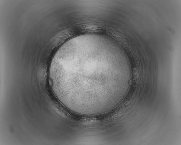 X0000115260642200911131747