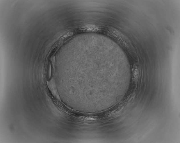 X0000115260643200911131747