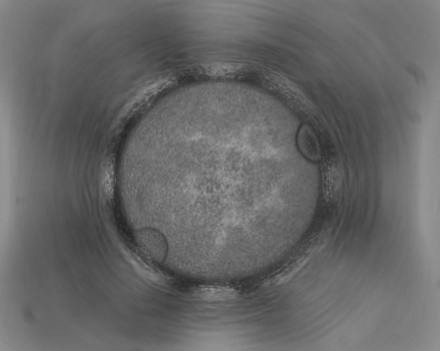 X0000115260644200911131747