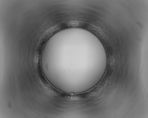 X0000115260645200911131747