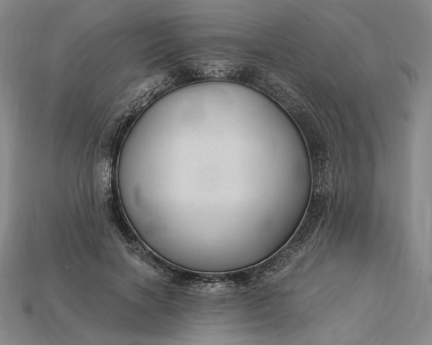 X0000115260646200911131747