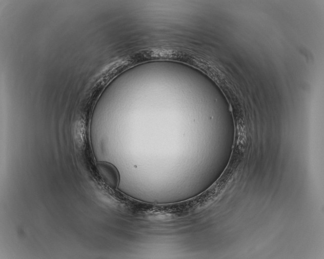 X0000115260648200911131747