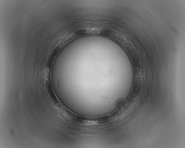 X0000115260649200911131747