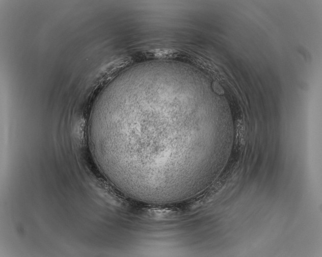 X0000115260650200911131747
