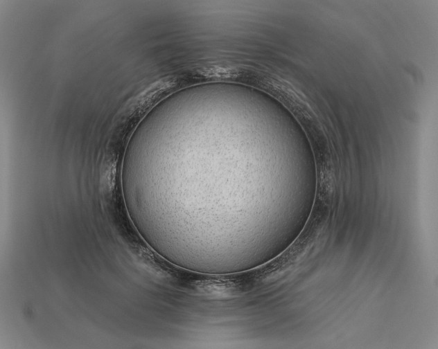 X0000115260652200911131747