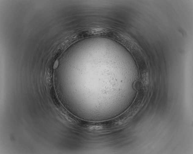X0000115260653200911131747