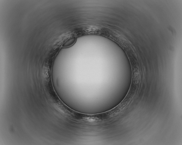 X0000115260654200911131747