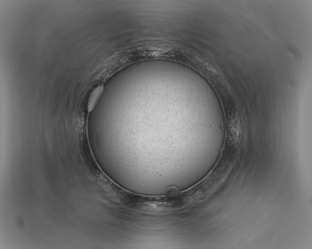 X0000115260657200911131747
