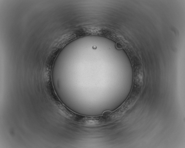 X0000115260658200911131747