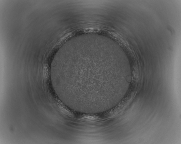 X0000115260659200911131747