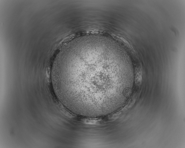 X0000115260661200911131747
