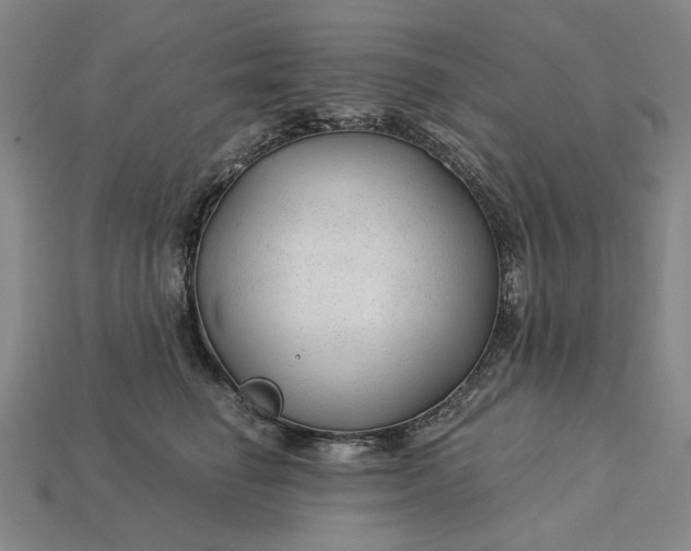 X0000115260662200911131747