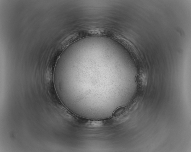 X0000115260665200911131747