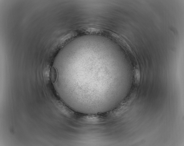 X0000115260668200911131747