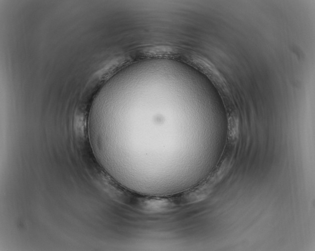 X0000115260669200911131747