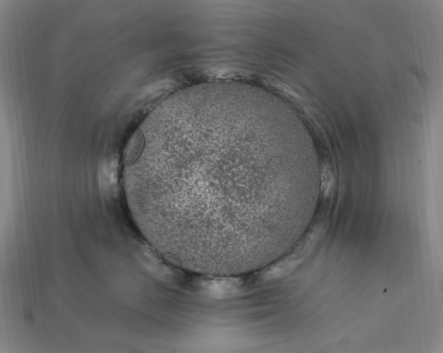 X0000115260670200911131747