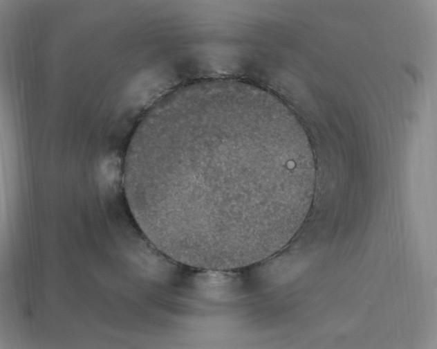 X0000115260672200911131748