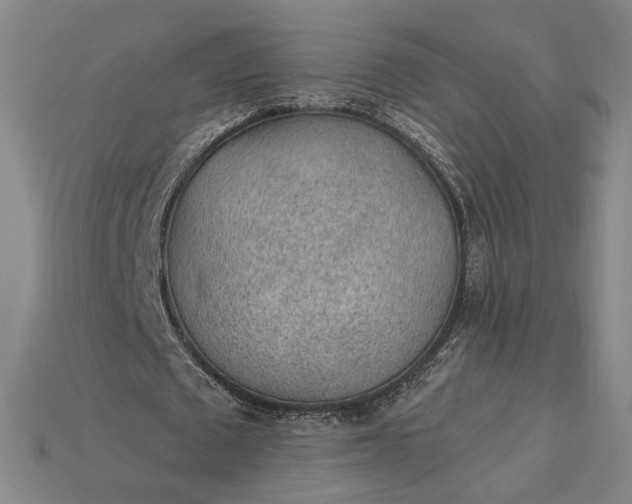 X0000115260673200911131747