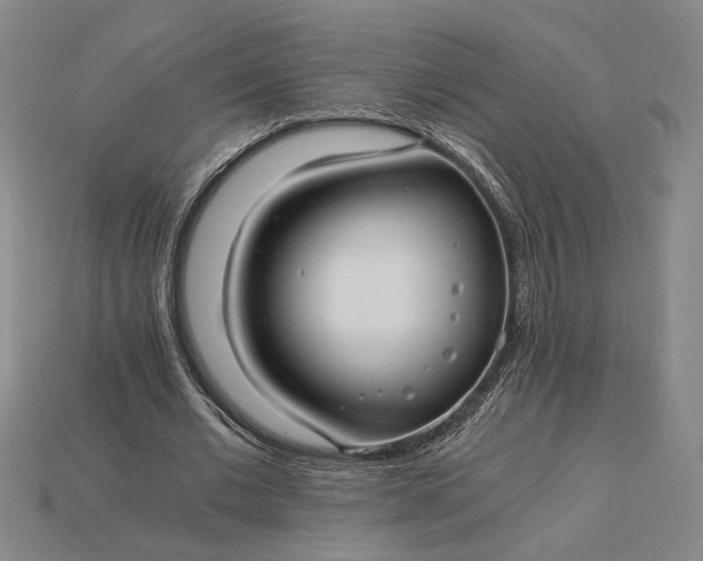 X0000115260677200911131747