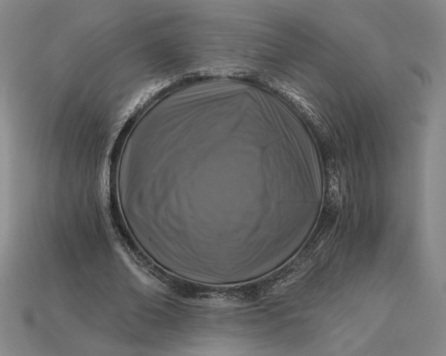 X0000115260678200911131747
